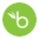 Favicon of BambooHR website