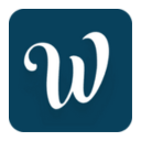 Favicon of Wisestamp website